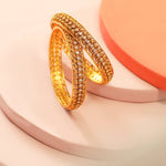 Banvi Antique Bangles 